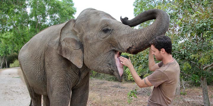 Phnom Tamao Wildlife Rescue Center