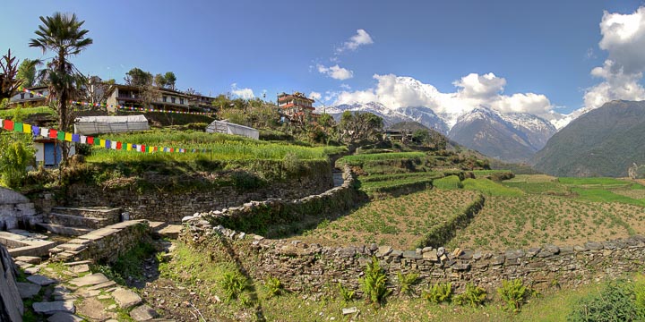 Annapurna Trek: Day 4 (Tadapani – Ghandruk)