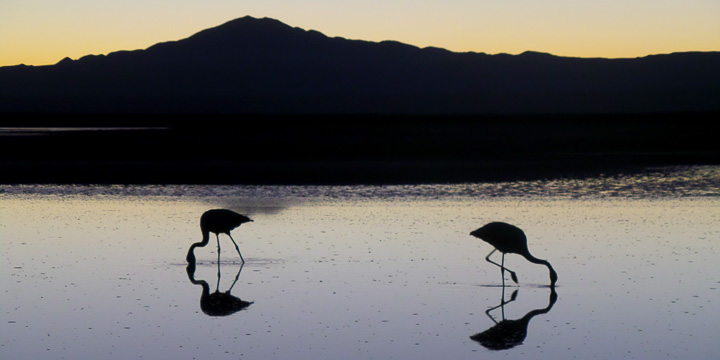 Chile: Atacama